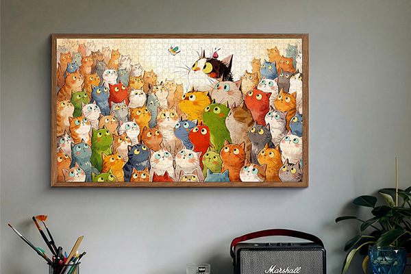Kattenes verden